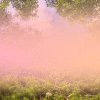 Lebensfluss – Atemwochenende in der Spinnerei, Mittelangeln