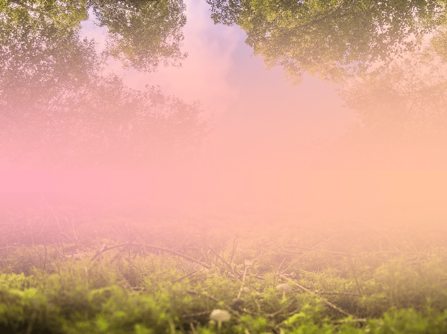 Lebensfluss - Atemwochenende in der Spinnerei, Mittelangeln