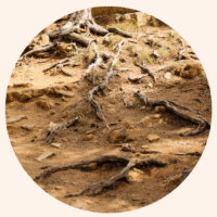 1:1 Healing Erwachsene (ab 21 Jahre)